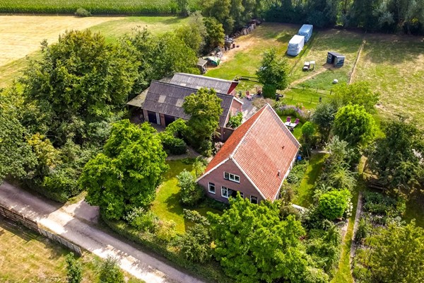 Van Echtenswijk 10, Elim